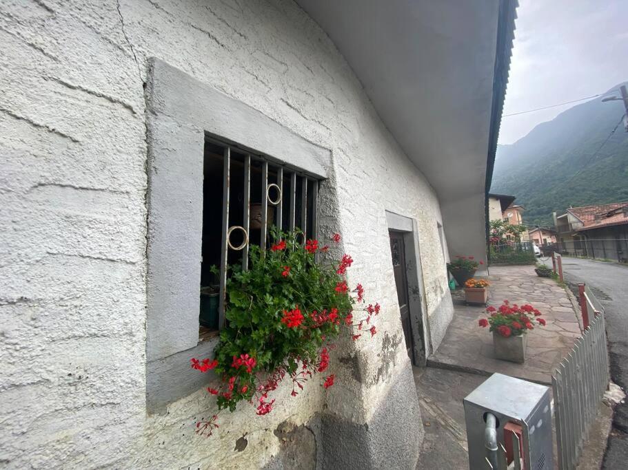Casa Vacanze Il Pettirosso. Pisogne Dış mekan fotoğraf