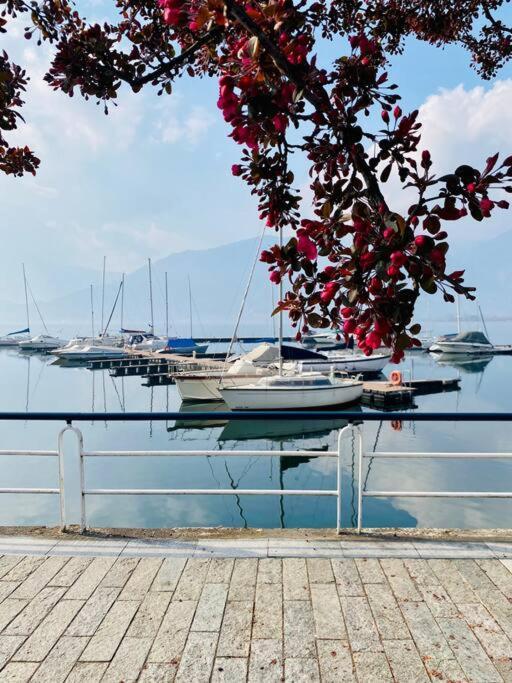 Casa Vacanze Il Pettirosso. Pisogne Dış mekan fotoğraf