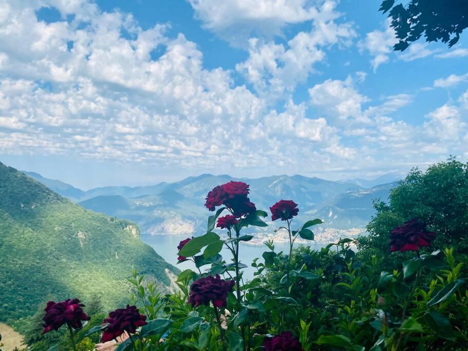 Casa Vacanze Il Pettirosso. Pisogne Dış mekan fotoğraf