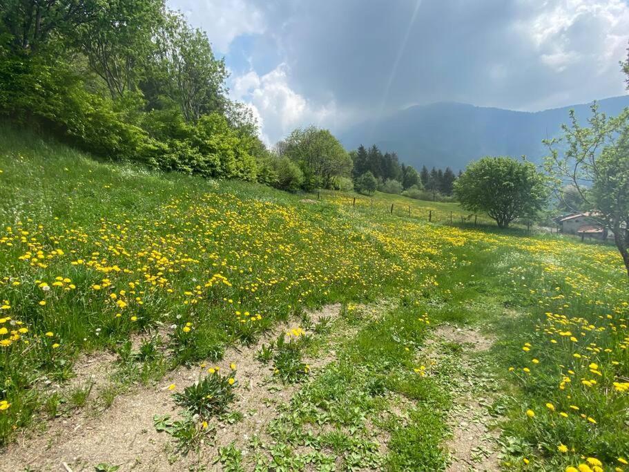 Casa Vacanze Il Pettirosso. Pisogne Dış mekan fotoğraf