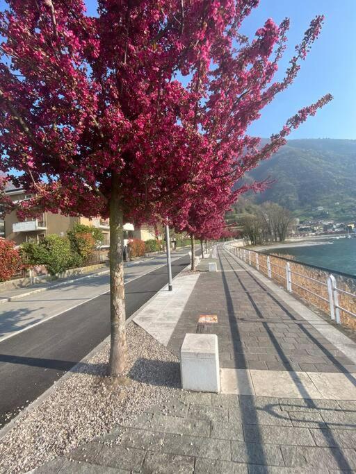 Casa Vacanze Il Pettirosso. Pisogne Dış mekan fotoğraf