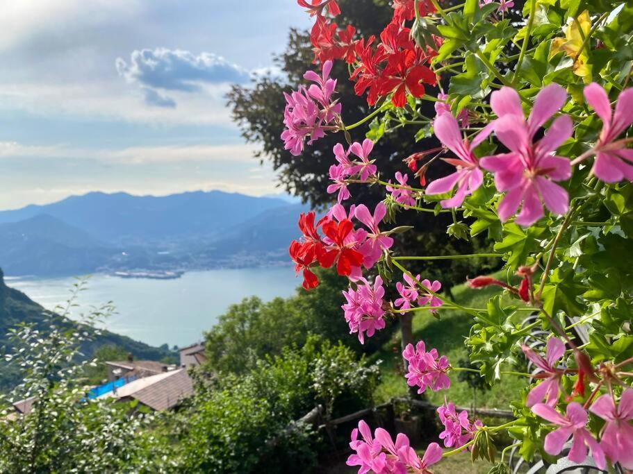 Casa Vacanze Il Pettirosso. Pisogne Dış mekan fotoğraf